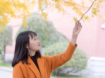 菲律宾当地导游(导游指南)